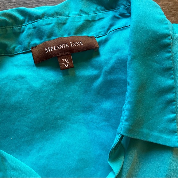 Melanie Lyne button down short sleeve blouse - Picture 6 of 8